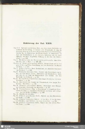 Erklärung der Taf. XXII