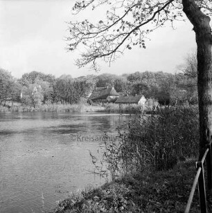 Mühlenteich: Blick vom Wehr auf gegenüberliegendes Ufer: rechts Baum und Sträucher: hinten Häuser zwischen Bäumen