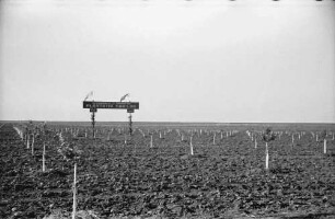 Odessa, Dalnik [Ukraine]: Obstbaumpflanzung, Plantatia Eroilor, mit Schild