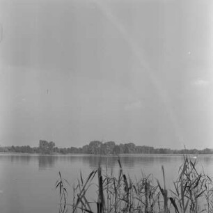Stausee bei Bautzen. : Spjaty jězorna kromje města Budyšina.