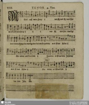 VIII. Merk auf mein Herz und sieh dorthin