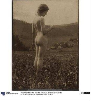 Nacktes Mädchen auf Wiese