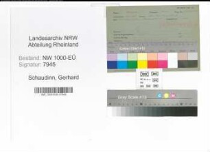 Entnazifizierung Gerhard Schaudinn, geb. 25.03.1905 (Handelsvertreter)