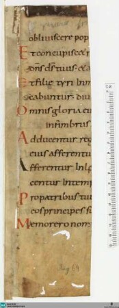 Psalterium biblicum, Fragment - Cod. Aug. Fr. 6