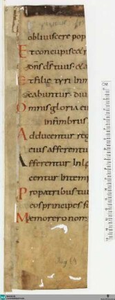 Psalterium biblicum, Fragment - Cod. Aug. Fr. 6