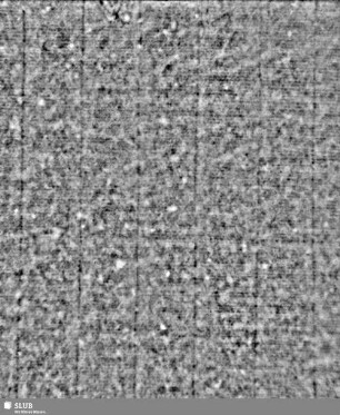 Lilienschild + IESV / LW = S.79/80