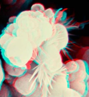 Mineralien, Mikroskopaufnahmen oder Computergrafiken, Urheber vmtl. Offermann