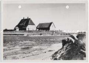 Hallig Hooge, Kirchwarft