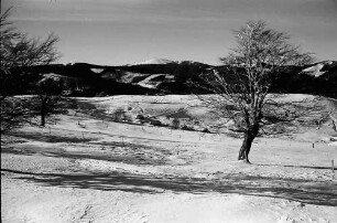 Schauinsland: Blick über Hofsgrund auf Feldberg