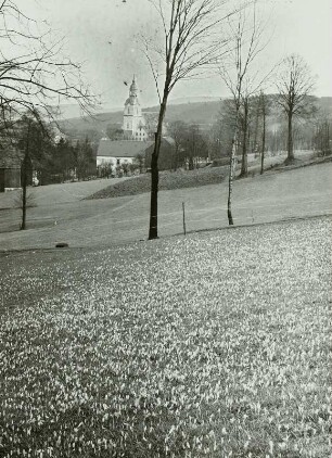 Ort, Drebach