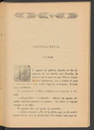 Capítulo XXVIII. - La fuga