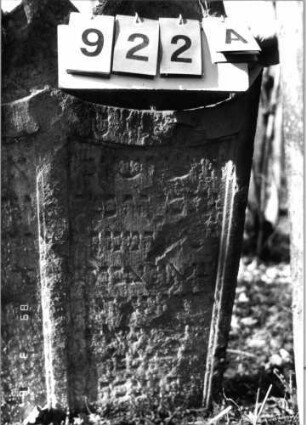 Grabstein 922 (Index: 99753200) Material: Sandstein Zustand: stark abgeblätt/verwitt/großer Textverl. Maße HxBxT: 120x84x11 cm Beschreibung: Doppelstele, zwei Schriftfelder Symbolik: Lilien, Schriftband: Grabstein 922A