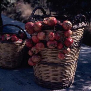 Sténi (Euböa). Granatäpfel auf dem Markt