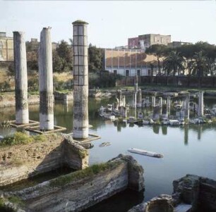 Pozzuoli. Macellum. Die Säulen des antiken Marktes dienen Fischern und Geologen als Thermometer für den "Fieberstand" des Erdinneren