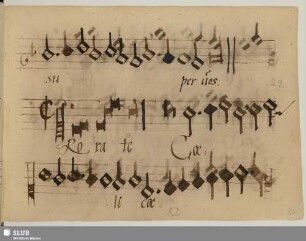 Anonymus: Rorate caeli