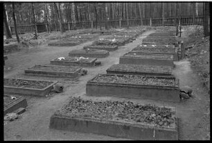 Soldatengräber auf dem Friedhof