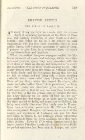 Chapter XXXVIII. The Birds of Paradise