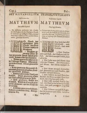 Matthäusevangelium / Evangelium beschreven door Mattheum