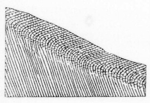 Hakenwerfen der Schichten an Gehängen, Schema (Stoces) : Geologie | Tektonik | Lagerungsformen der Gesteine