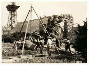 Gartenschau Sommerblumen am Funkturm, Berlin: Vorbereitung und Bepflanzung des Ausstellungsgeländes: Aufstellen eines Nadelbaumes