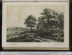 Fig. 115