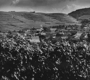 Archivfotografie "kaiserstuhl_bischoffingen_on"