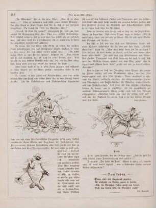 "Die neue Melusine"