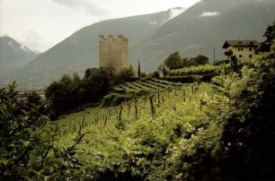 Meran: Weinberg am Tappeiner Weg mit Pulverturm