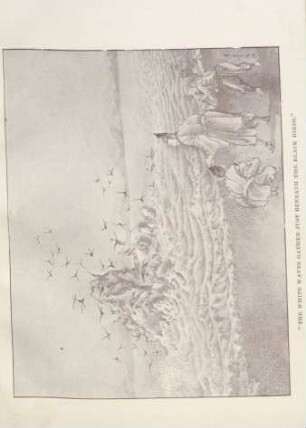 The white waves gather just beneath the black birds