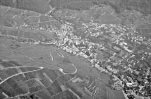 Neuweier: Weinberg mit Gemeinde, von Westen