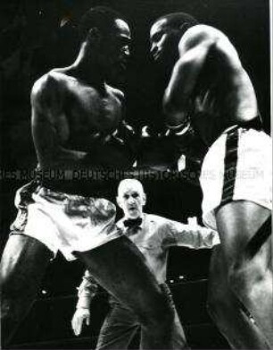 Zwei schwarze Boxer, im Hintergrund ein weißer Schiedsrichter