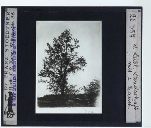 Leibl, Der große Baum (Druck, Billeter 1994, no. B10)