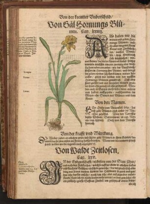 Von Waldt Zeitlosen, Cap,. LXXV