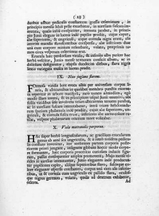 IX. Nux juglans, florens