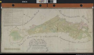 Grenze gegen Preußen von der Angelbecker Mark bis Hunteburg. "Geometrischer Plan von dem Ilforth unter Levern, Barlage, Ihlwede, Haldem, Drohne und Dielingen, Amts Rahden, mit dem Hochstifft Osnabrück, Bauersch. Bohmte und Meierhöfen Kirchspiel Hunteburg."