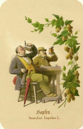 Illustriertes Kräuterbuch