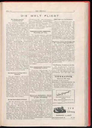 Die Welt fliegt