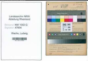 Entnazifizierung Ludwig Wachs, geb. 14.12.1889 (Kaufmann)