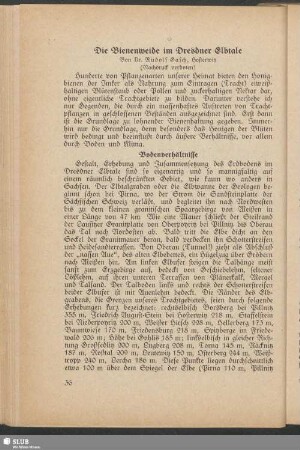 Die Bienenweide im Dresdner Elbtale