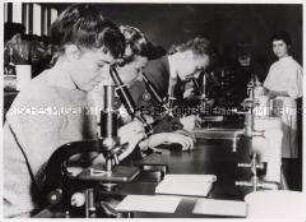 Studenten am Mikroskop im Institut für Anatomie in Leipzig