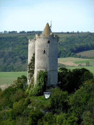 Bad Kösen: Burg Saaleck