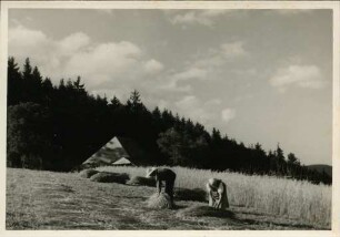 Getreideernte im Schwarzwald