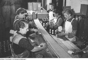 Wilthen. VEB Weinbrand Wilthen, Produktion, Oktober 1952