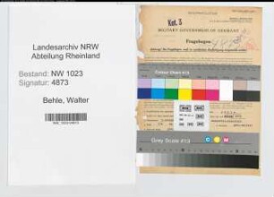 Entnazifizierung Walter Behle , geb. 05.11.1901 (Buerovorsteher)