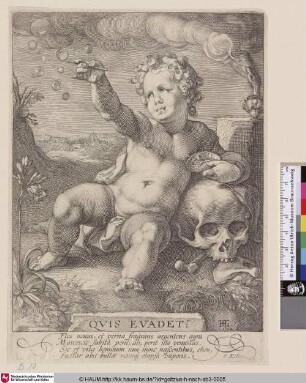 QVIS EVADET? [Allegorie der Vergänglichkeit; Allegory of Transcience; Homo bulla]