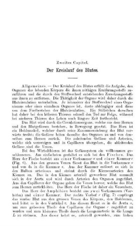 Zweites Capitel. Der Kreislauf des Blutes.