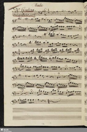370. Cavatina: Rondinella che il fido / Piccinni, N.