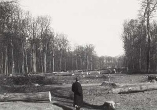 Leipzig-Leutzsch : Leipzig-Leutzsch, Burgwall (durch den Auenwall geschlagene Trasse für die Luppe)