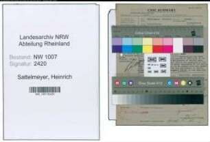 Entnazifizierung Heinrich Sattelmeyer , geb. 18.07.1890 (Gem.Inspektor)
