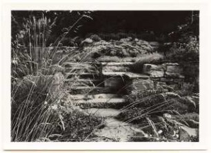 Garten von Bauer, Rhode: Treppe mit Beetmauern